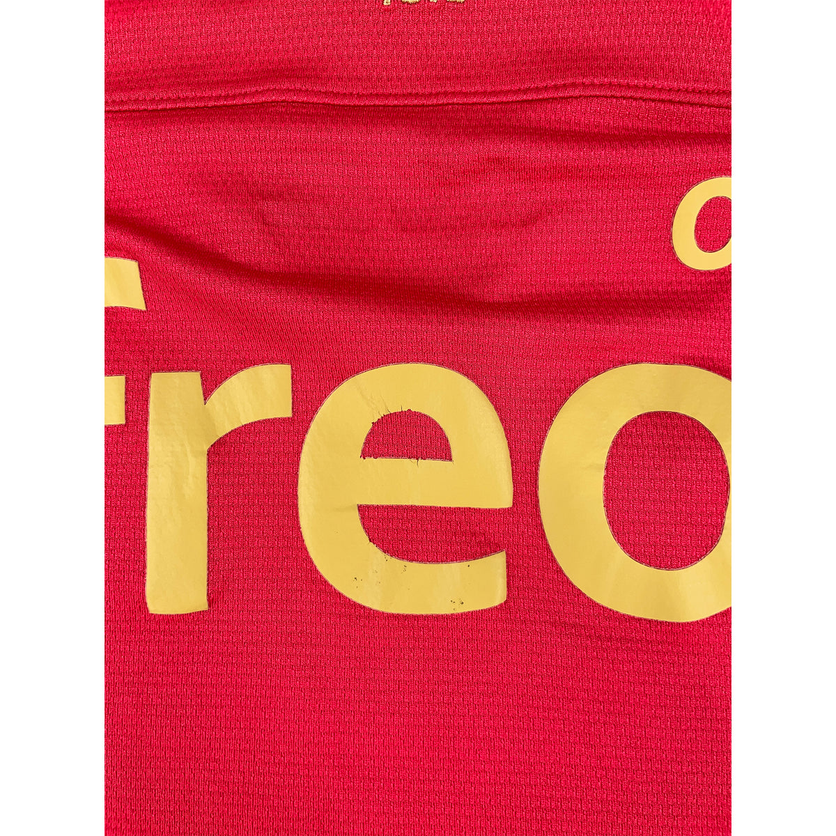 2013-14 PSV Home Shirt