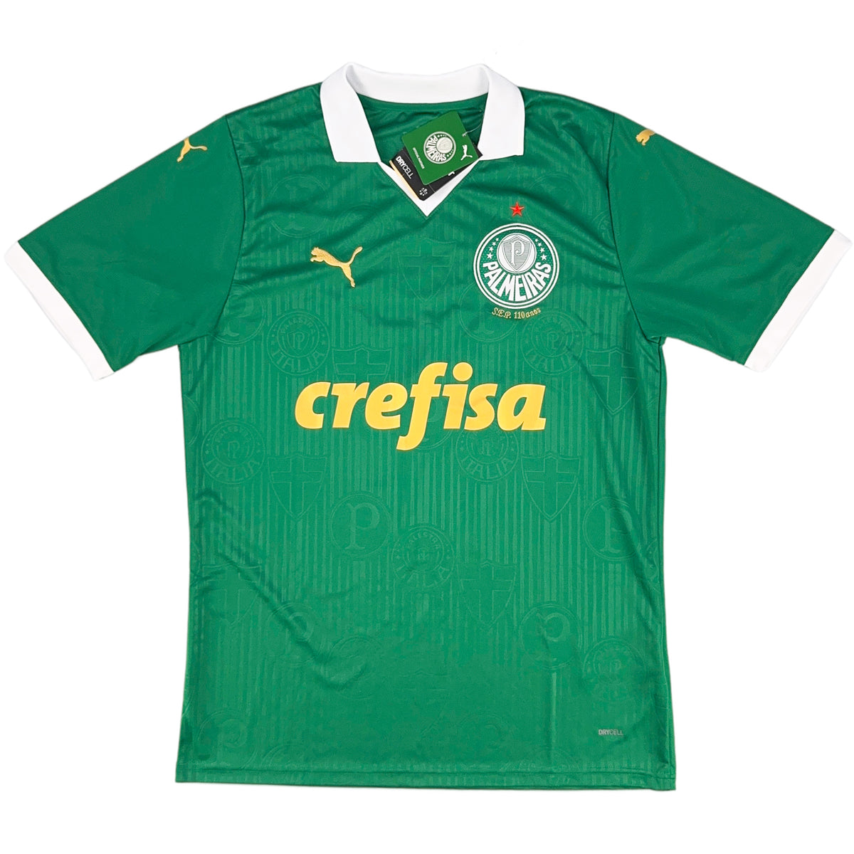 2024 Palmeiras Home Shirt Endrick